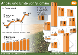 23.02.2011 (AMI) Bei den männlichen Jungrindern und Jungbullen im ...