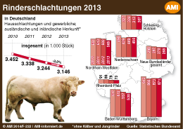 Erfolgreichste single deutschland 2013