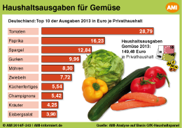 single haushalte deutschland 2013