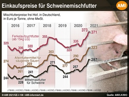 Markt Chart der Woche