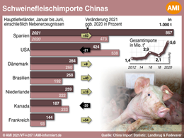 Markt Chart der Woche