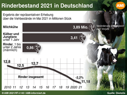 Markt Chart der Woche