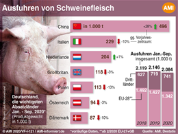 Markt Chart der Woche