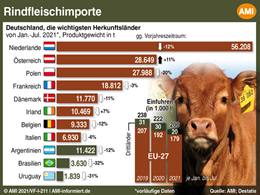 Markt Chart der Woche