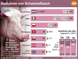 Markt Chart der Woche