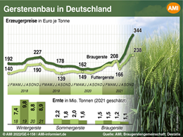 Markt Chart der Woche