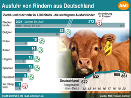 Markt Chart der Woche