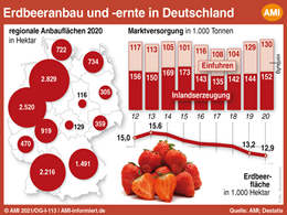 Markt Chart der Woche