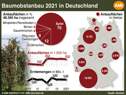 Markt Chart der Woche