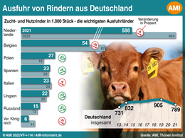 Markt Chart der Woche