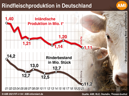 Markt Chart der Woche