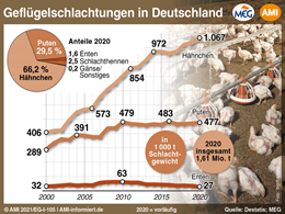 Markt Chart der Woche