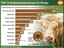 Markt Chart der Woche