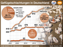 Markt Chart der Woche