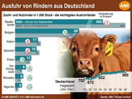 Markt Chart der Woche