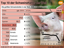 Markt Chart der Woche