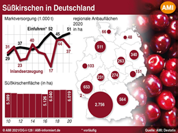 Markt Chart der Woche