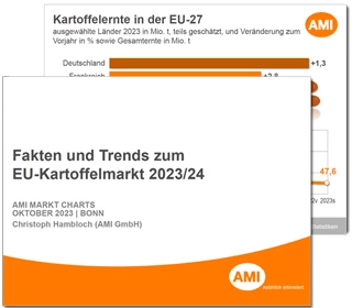 2023-24_Markt_Charts_EU_Kartoffelmarkt_320.png