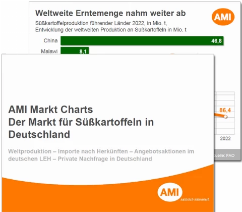 2024_Markt_Charts_Suesskartoffeln_2023.png